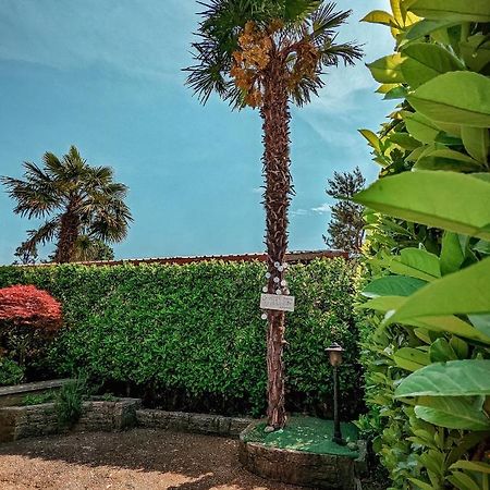 הוילה קסטלטו סופרה טיצ'ינו Casa Victoria מראה חיצוני תמונה