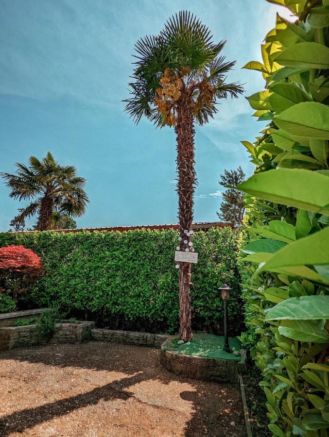 הוילה קסטלטו סופרה טיצ'ינו Casa Victoria מראה חיצוני תמונה